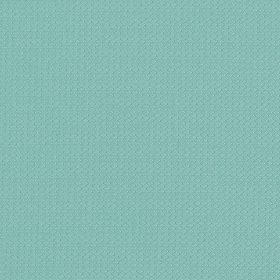 Aqua