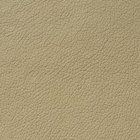 Sahara