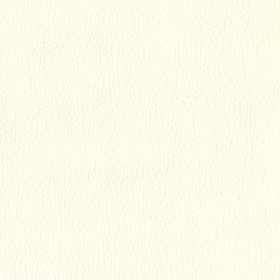 Shell White