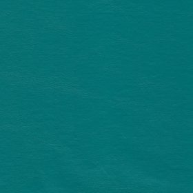 Teal/Grey