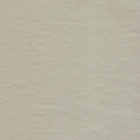 Neutral