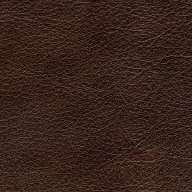 New Walnut