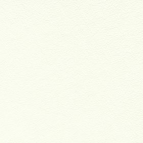 Paper White