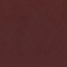 Cordovan