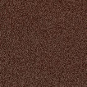 Standard Brown