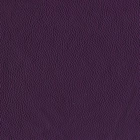 Amythyst