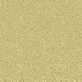 Vellum