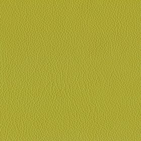 Chartreuse