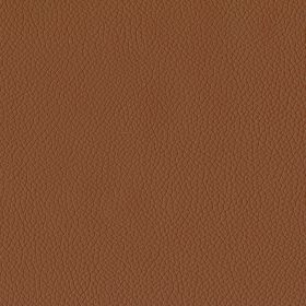 Mocha