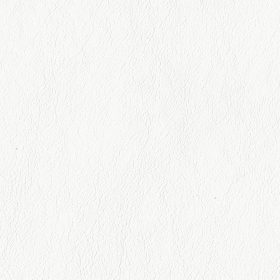 Snowdrift