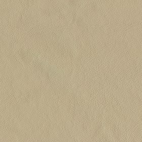 Parchment