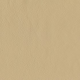 Sandstone