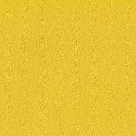 Goldenrod