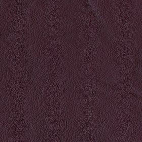 Aubergine