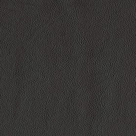 Mahogany