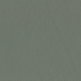 Gunmetal