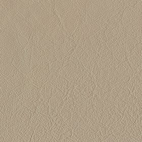Dust