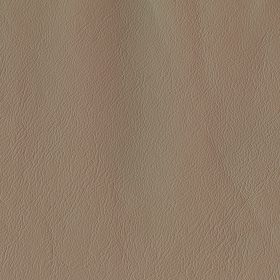 Putty