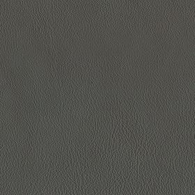 Carbon
