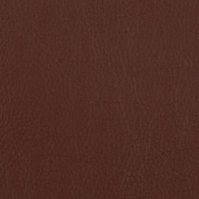 Cinnamon