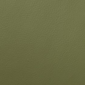 Pistachio