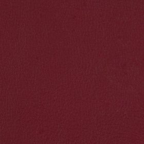 Raspberry