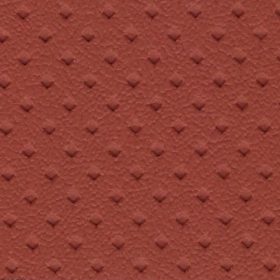Cinnamon