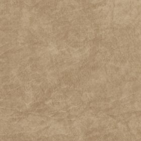 Buckskin