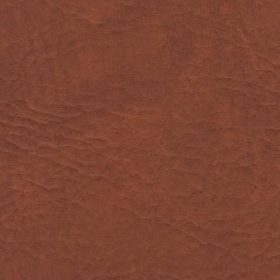 Saddle