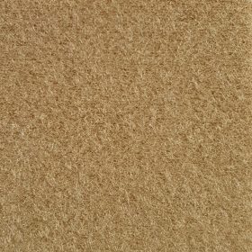 Buckskin