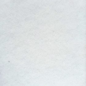 Arctic White